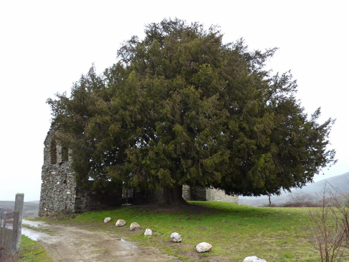 Casa De Abril 1 Pensionat San Cristobal de Valdueza Værelse billede
